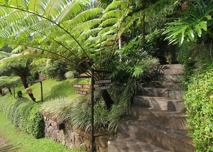 Patal Kikian * Sidemen (Bali)